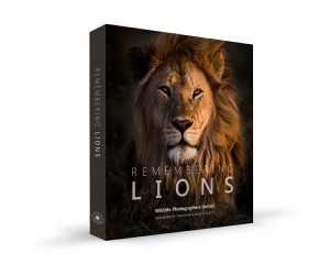 1554054081-Remembering Lions side view low res