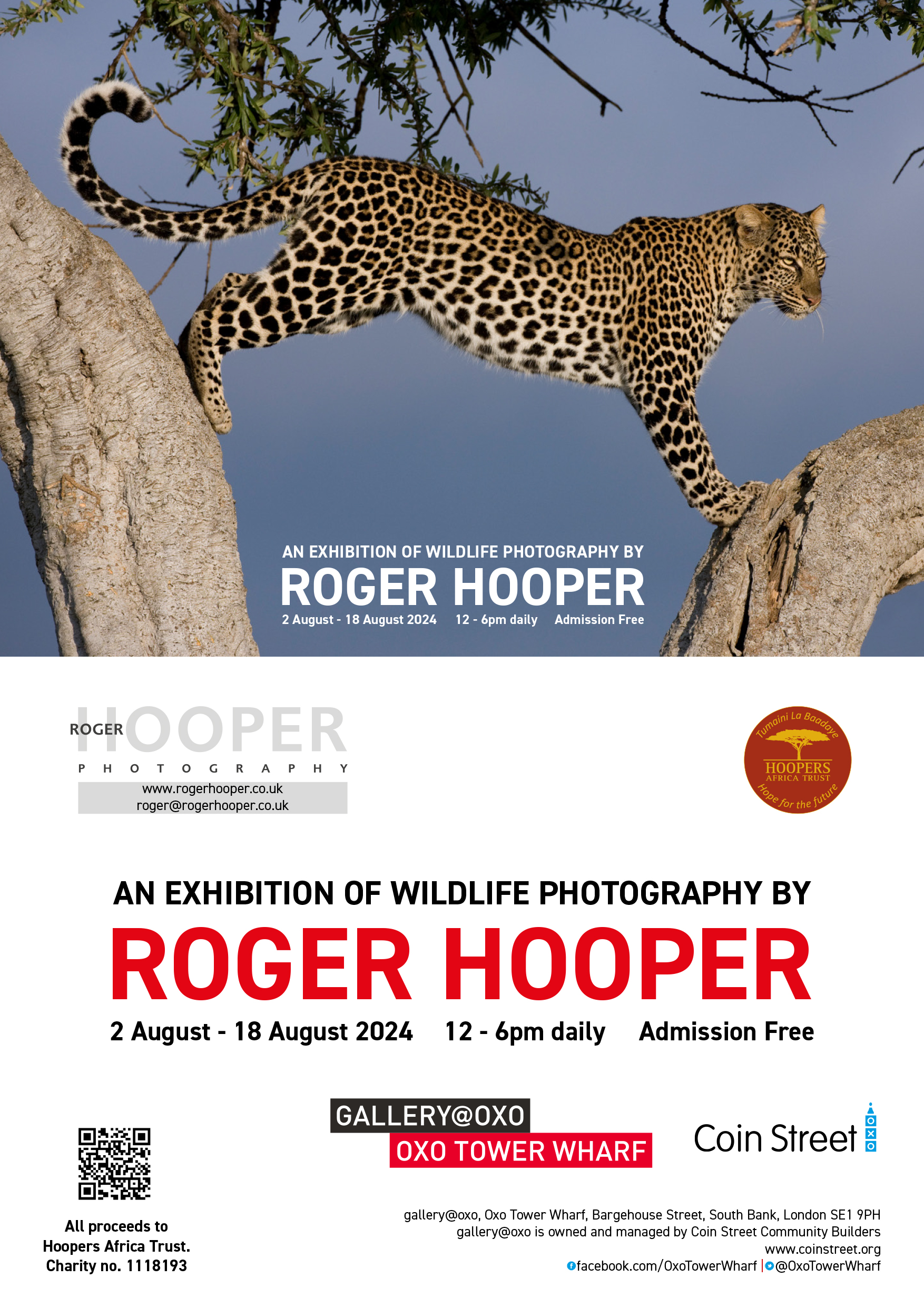 OXO Digital Invite 2024